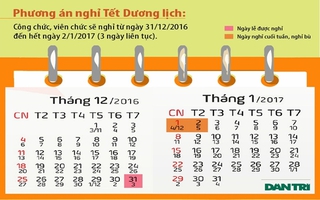 Bộ Nội vụ thống nhất lịch nghỉ Tết nguyên đán Đinh Dậu